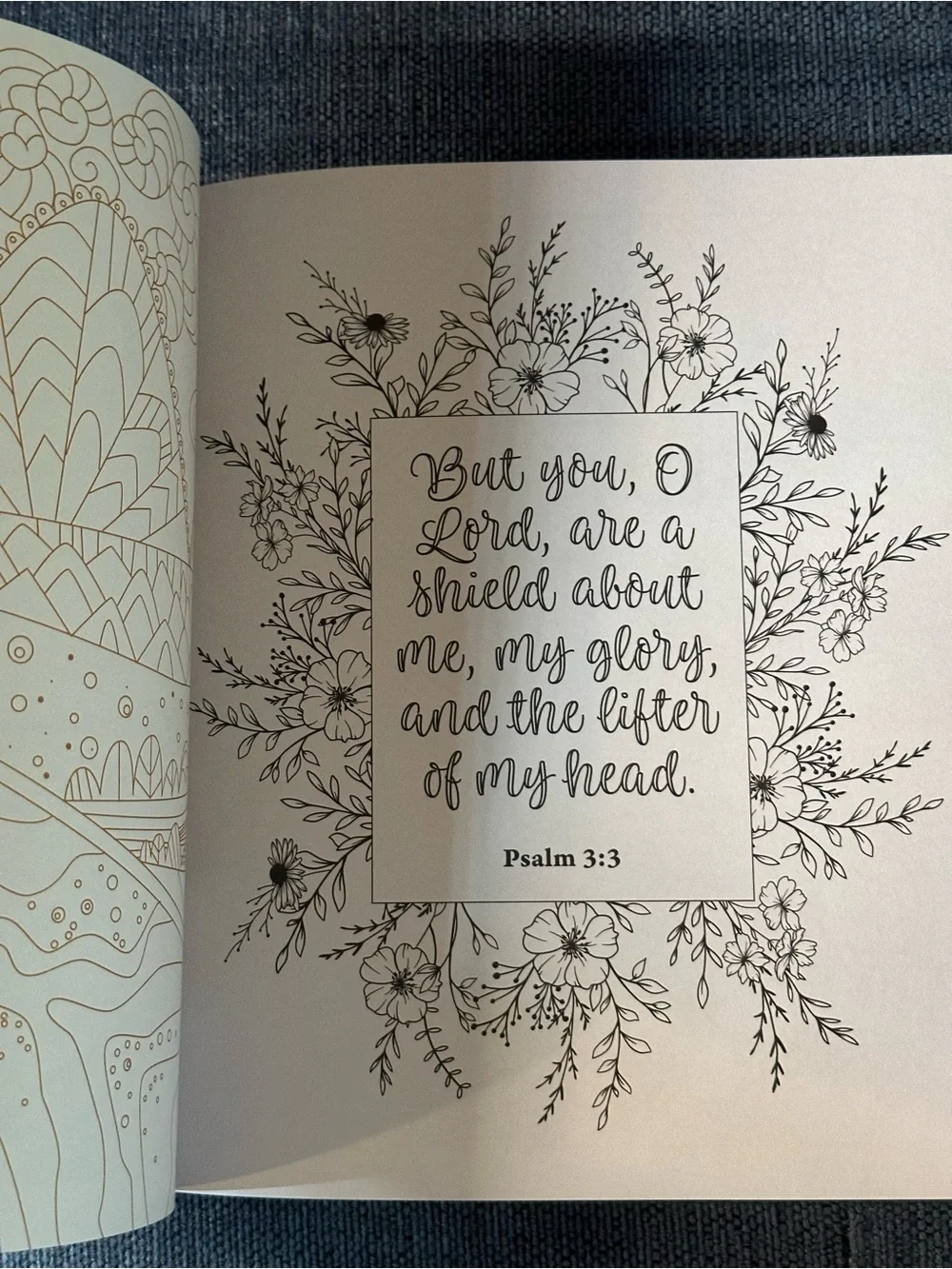 Faith & Devotion Inspirational Coloring Book & Bible Psalms Coloring Book